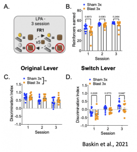 Reversal learning is impaired following a history of repetitive blast in male mice