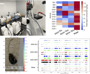 RFID-enabled, group-housed polysubstance home cage analysis of drinking behavior and social interaction