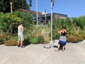Alexa Russo and Jordan Fette surveying bees on campus