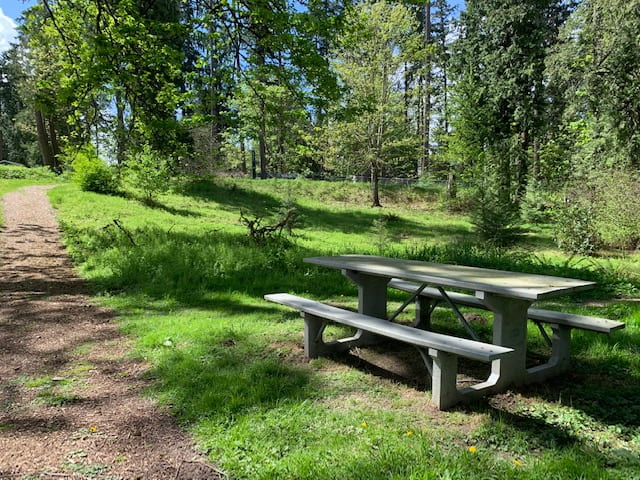 bench by trees