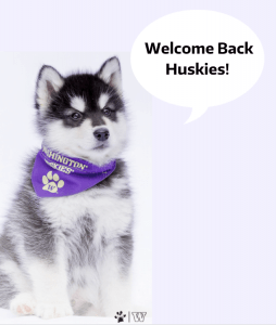 UW Dubs welcoming students back to campus