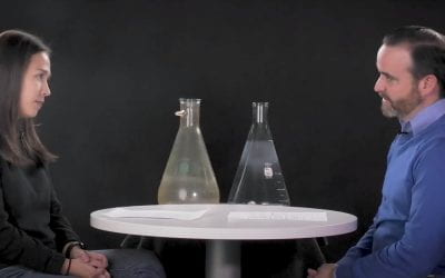 M3D Director Bill Mahoney and M3D Student Cassie Winter featured on Between Two Flasks