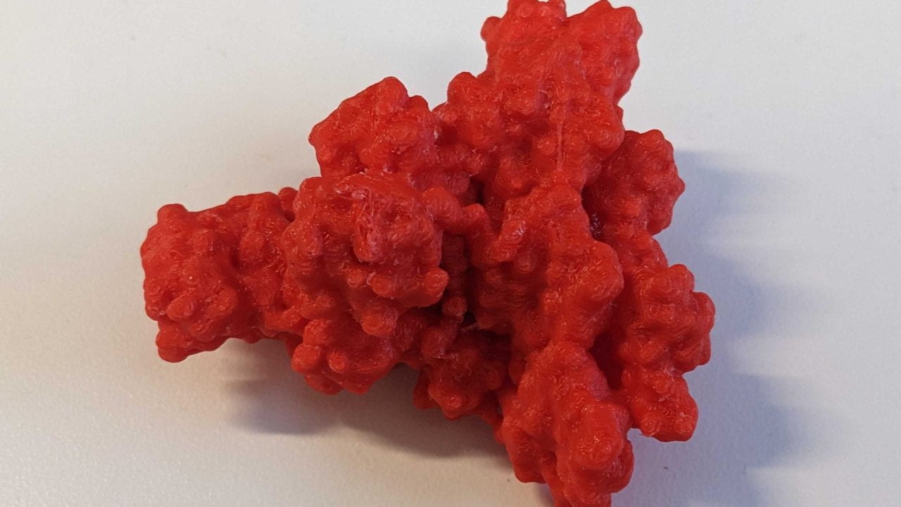3D printed Arp2/3 protein complex