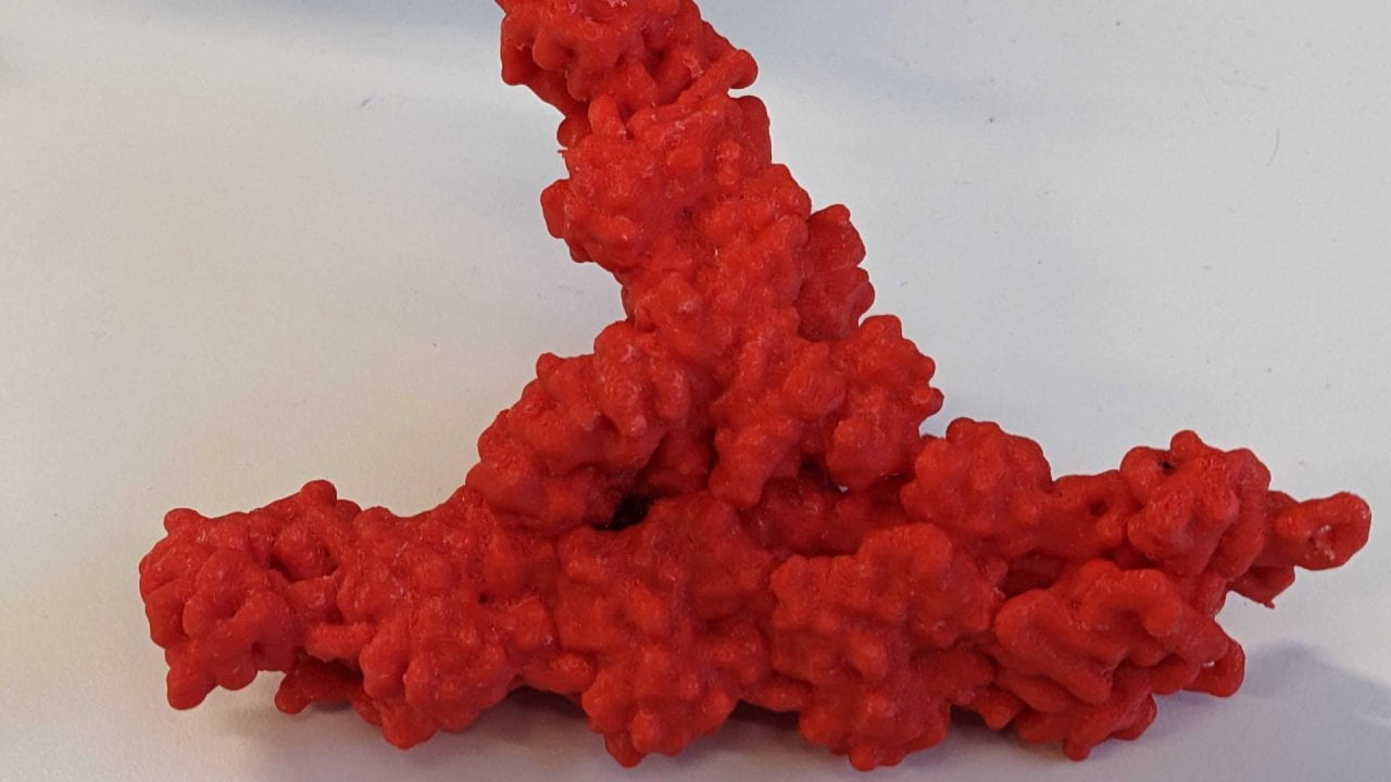 3D printed branched actin with Arp2/3 complex