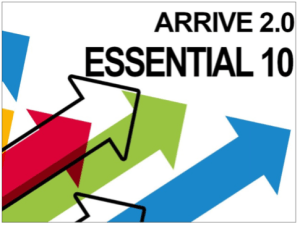 Arrive Essential 10 Logo