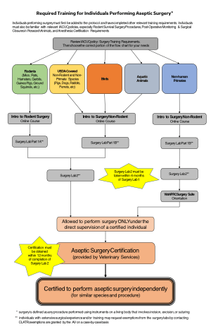 Required Training for Individuals Performing Aseptic Surgery Flowchart