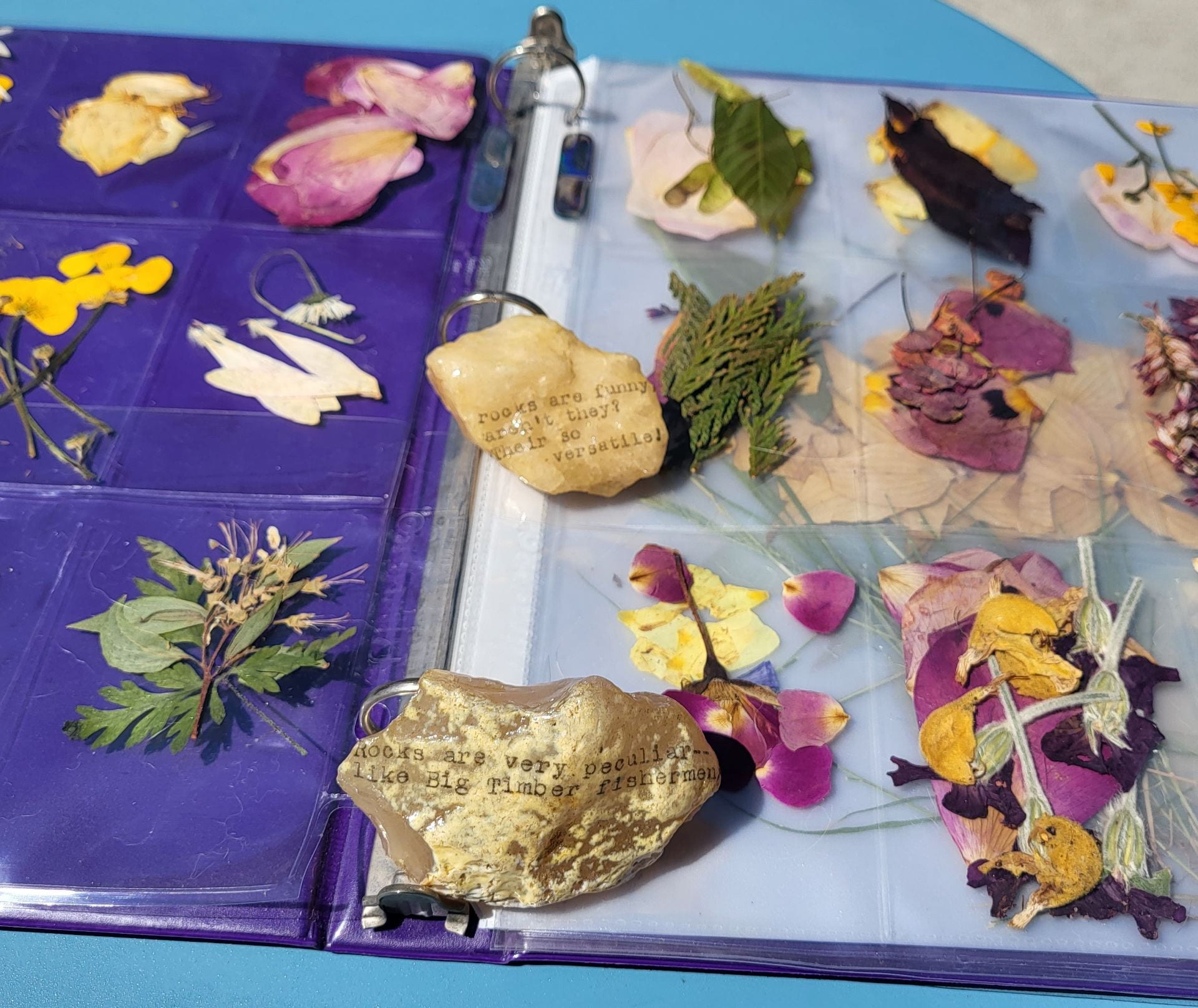 Selection of Pressed Flowers on top of Open Notebook