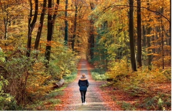 View from back of a woman walking in an autumnal forest setting