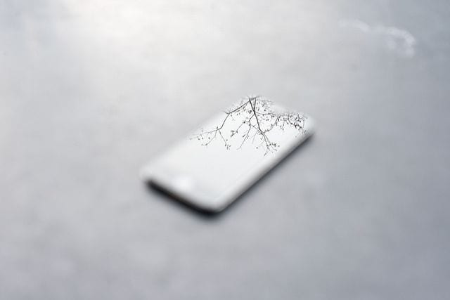 Photo of cell phone with tree reflected in it by David Gabriel Fischer