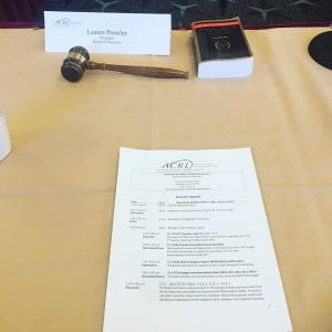 Image of a gavel and agenda for a board meeting.