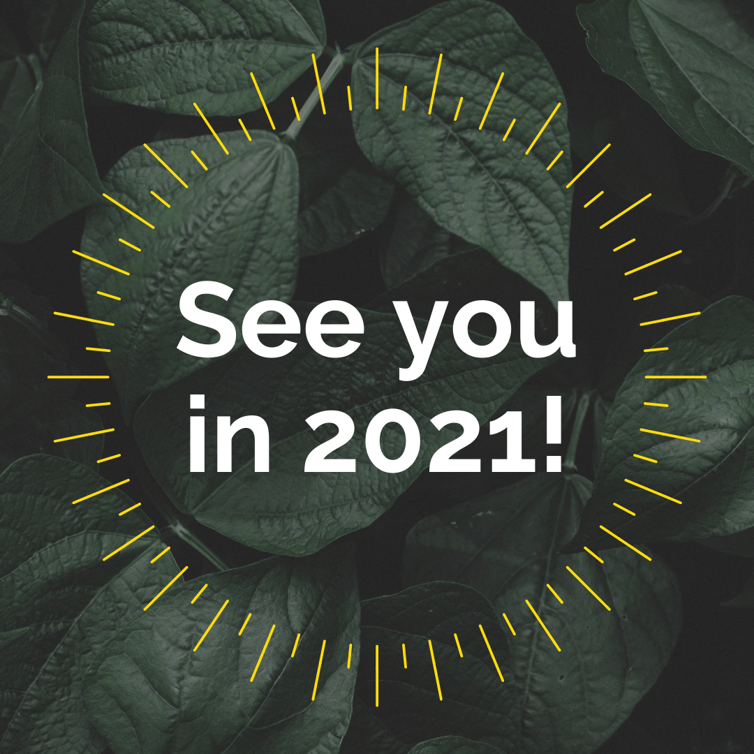 Image text reads: See you in 2021!