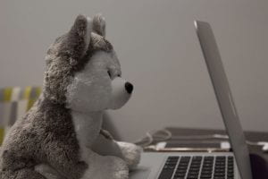 Stuffed husky toy in front of laptop.