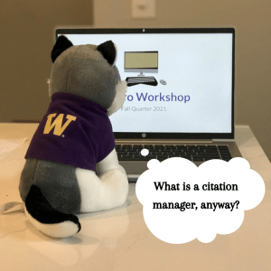 Stuffed husky sitting in front of a computer screen wondering what a citation manager is.