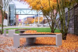 Photo showing a bench on the UWT campus covered in Fall leaves