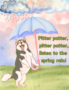 Cartoon of a Husky under an umbrella. Text reads Pitter patter pitter patter listen to the spring rain 
