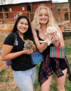 Adrianna and a fellow student holding bunnies at a petting zoo. 